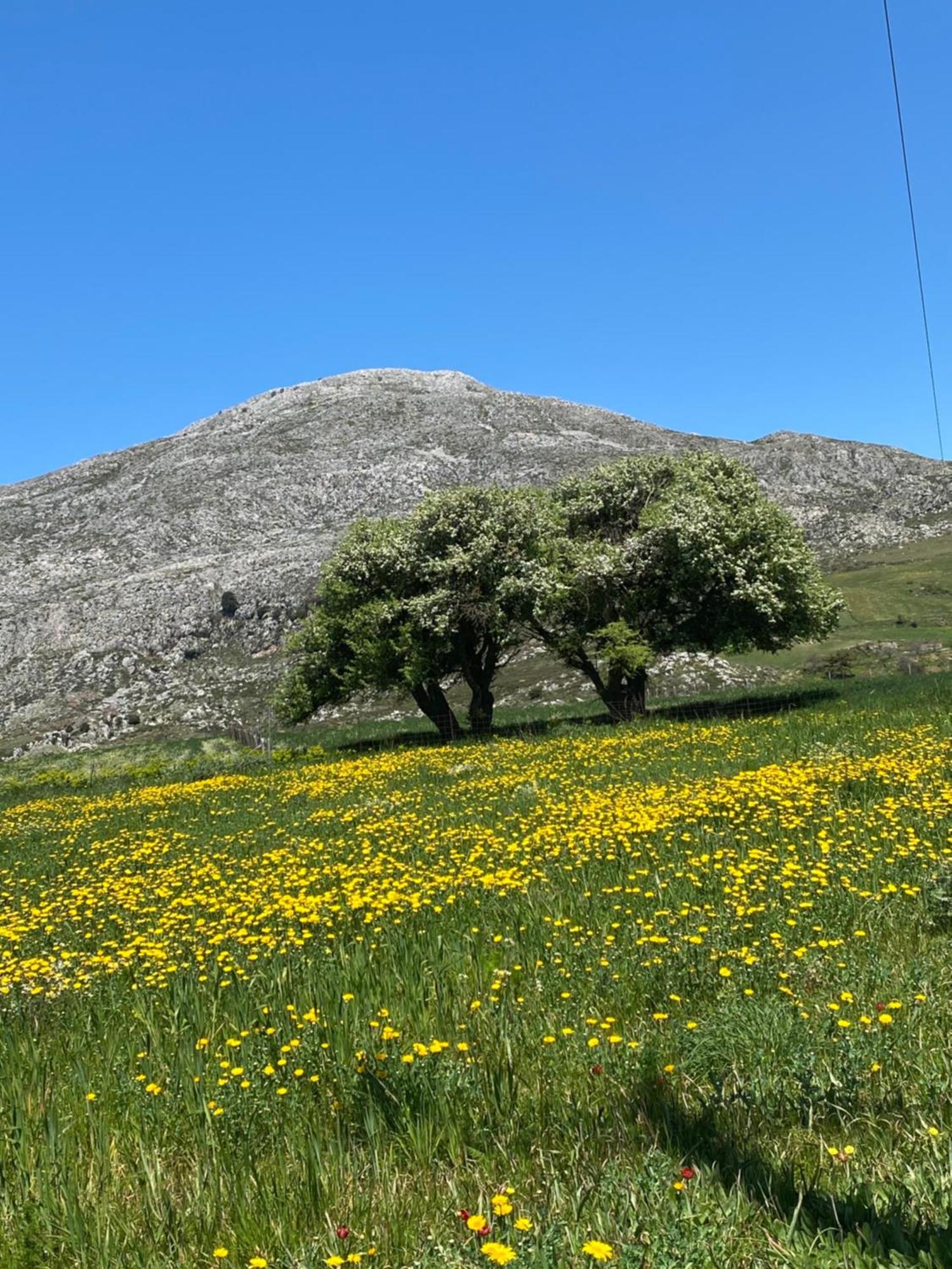 Costas 2* Spílion